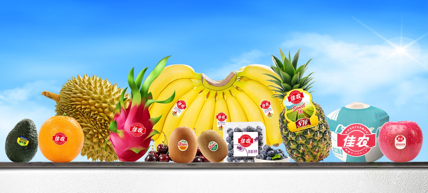 菏泽优品 · 未菏跨境一站式服务平台 promo